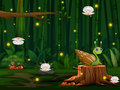 Игри Snail Run