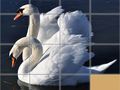 Игри Animals Slide Puzzle
