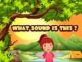Игри What Sound Is This?