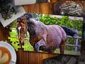 Игри Jigsaw Puzzle Horses Edition