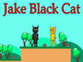 Игри Jake Black Cat