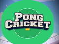 Игри Pong Cricket