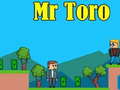 Игри Mr Toro