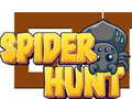 Игри Spider Hunt