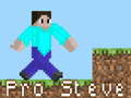 Игри Pro Steve