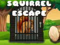 Игри Squirrel Escape
