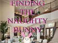 Игри Finding The Naughty Bunny