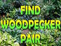 Игри Find Woodpecker Pair 