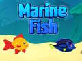 Игри Marine Fish