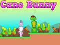 Игри Cano Bunny