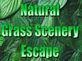 Игри Natural Grass Scenery Escape