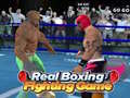 Игри Real Boxing Fighting Game