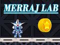 Игри Merraj Lab