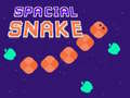 Игри Spacial Snake