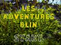 Игри Les Adventures Blin