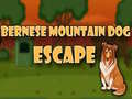 Игри Bernese Mountain Dog Escape