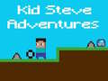 Игри Kid Steve Adventures