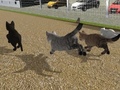 Игри Run Cat Cat Race