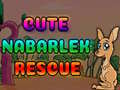 Игри Cute Nabarlek Rescue