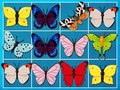 Игри King Of Mahjong