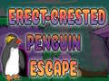 Игри Erect Crested Penguin Escape