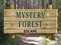 Игри Mystery Forest