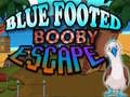 Игри Blue Footed Booby Escape