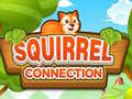 Игри Squirrel Connection