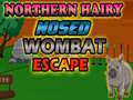 Игри Northern hairy nosed wombat Escape