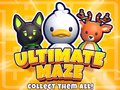 Игри Ultimate Maze! Collect Them All!
