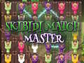 Игри Skibidi Match Master