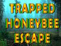Игри Trapped Honeybee Escape