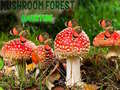 Игри Mushroom Forest Adventure