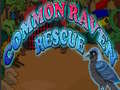 Игри Common Raven Rescue