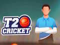 Игри T20 Cricket
