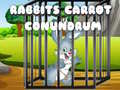 Игри Rabbits Carrot Conundrum