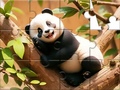 Игри Jigsaw Puzzle: Panda On Tree