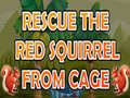 Игри Rescue The Red Squirrel From Cage
