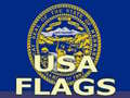 Игри Usa Flags 