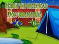 Игри Rescue The Green Toad From Underground