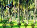 Игри Rescue Tasmanian Tiger