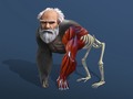 Игри Idle Evolution From Cell To Human