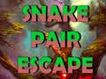 Игри Snake Pair Escape