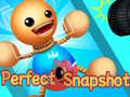 Игри Perfect Snapshot