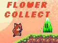 Игри Flower Collect