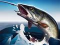 Игри Ice Fishing 3D