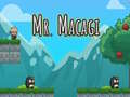 Игри Mr Macagi