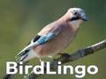 Игри BirdLingo