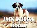 Игри Jack Russell Jigsaw