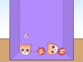 Игри Evolution of Cat Memes